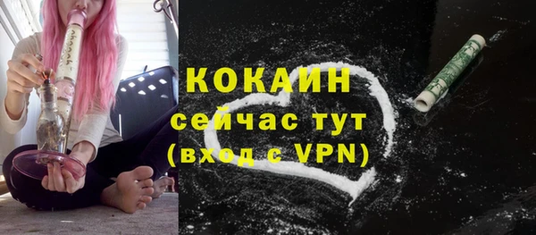 дмт Володарск
