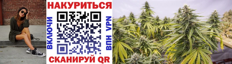 Конопля марихуана  Купить закладки  Мурино 